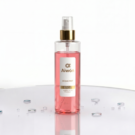 acqua mist vers 2 copia